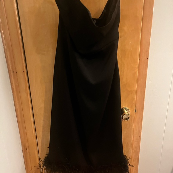 Lucy Paris Mareena feather trim Dress - Picture 4 of 5